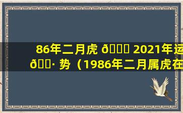 86年二月虎 🕊 2021年运 🌷 势（1986年二月属虎在2021年的运势）